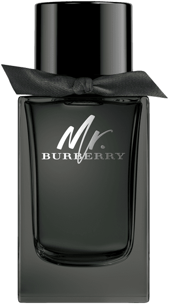 Burberry Mr. Burberry EdP Nat. Spray