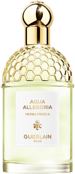 Guerlain Aqua Allegoria Herba Fresca EdT Spray