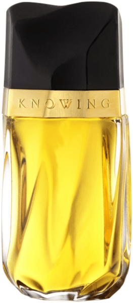 Estée Lauder Knowing