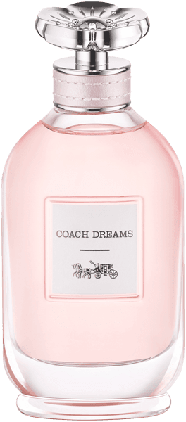 Coach Dreams
