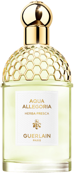 Guerlain Aqua Allegoria Herba Fresca